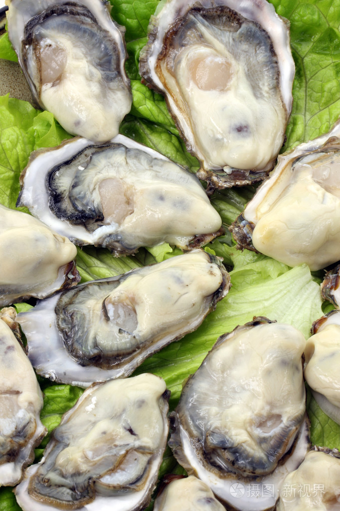 新鲜打开的牡蛎