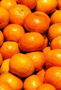 柑橘果实背景