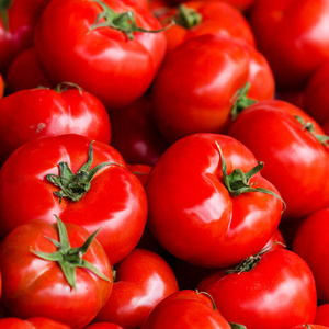 新鲜的西红柿背景的组图片