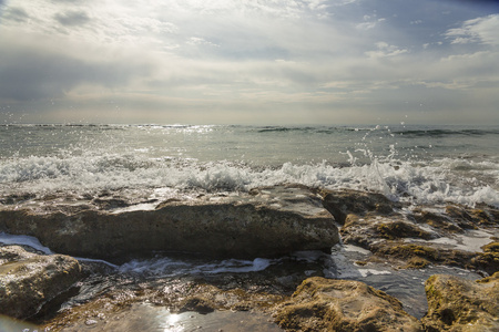 海洋海岸