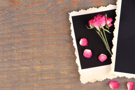 空白相纸和美丽的粉红色干的玫瑰木背景