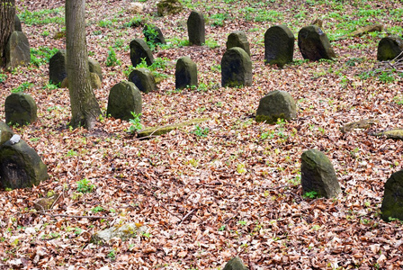 被遗弃在森林里的犹太公墓