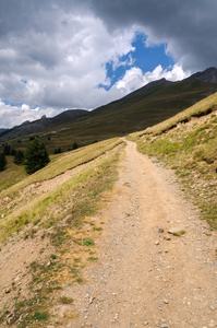 高山景观