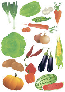 向量集的 14 新鲜蔬菜