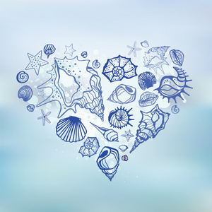 心脏海贝壳。暑假