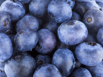 蓝莓背景
