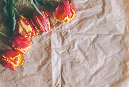 郁金香花束工艺用在纸上的可用空间