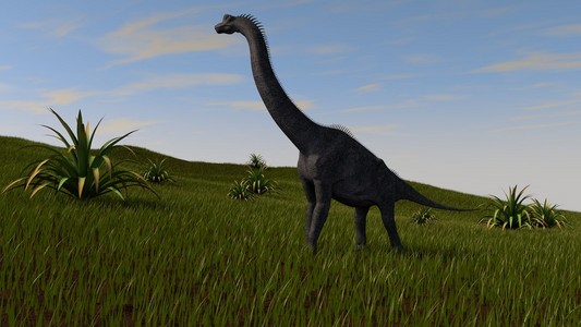 腕龙在山顶上行走照片