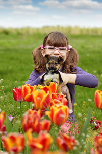 快乐的小女孩，跟郁金香花园里的小狗宠物