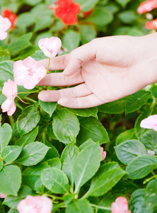 伸手的小孩图片大全