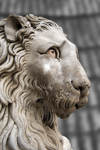 狮子雕像大教堂圣劳伦斯热那亚