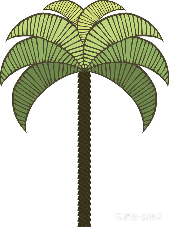 棕榈树插画-正版商用图片1ficd8-摄图新视界
