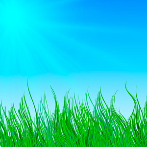 自然背景与绿草和蓝蓝的天空