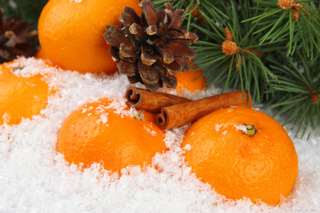 橘子与冷杉的枝上雪中关闭