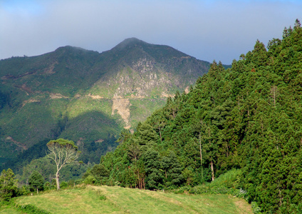 亚速尔群岛山