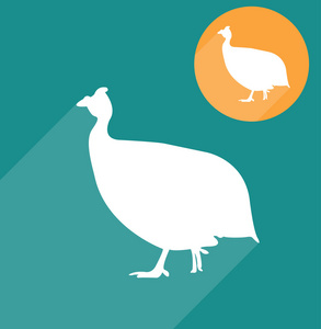 黄色珍珠鸡图片