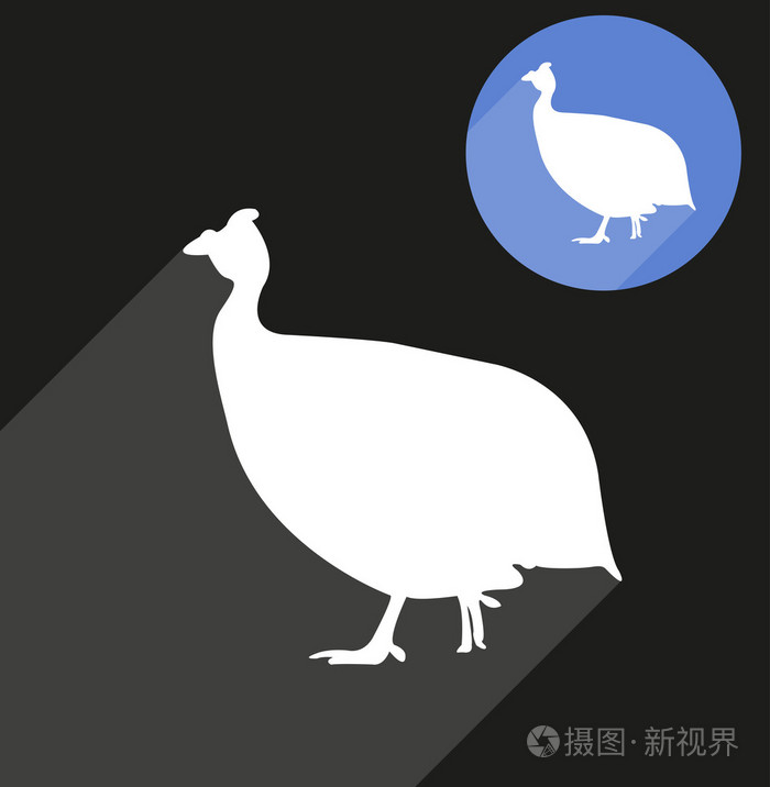 珍珠鸡剪影插画-正版商用图片1fimtw-摄图新视界