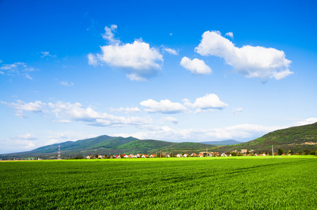 绿色的原野