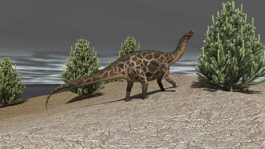 dicraeosaurus 上行走