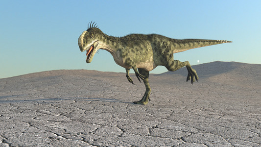 脊恐龙照片