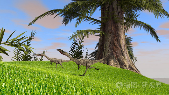 coelophysis恐龙
