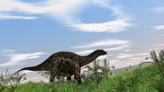 dicraeosaurus 上行走