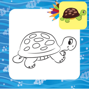 乌龟涂鸦图片