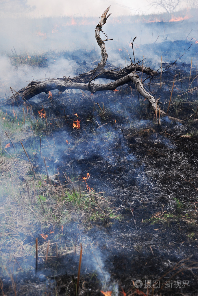 森林火灾