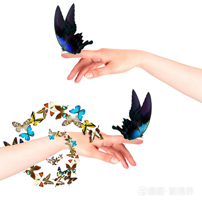 女人的手上的蝴蝶在运动