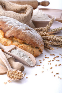面包用面粉和小麦