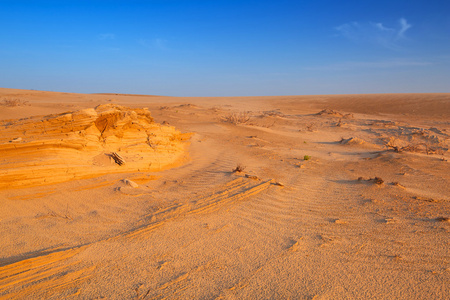 在阿布扎比附近的沙漠中的沙地沙丘