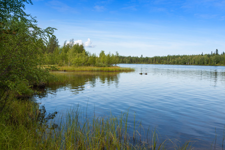 在阳光明媚的日子，芬兰与湖景观