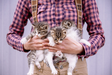 女人抱着小猫