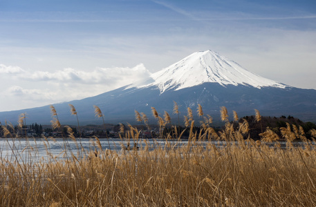 富士山在清晨