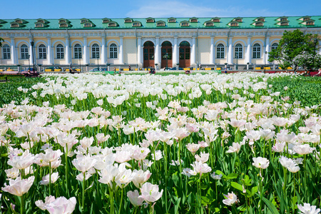 在莫斯科，俄罗斯的 alexandrovsky 花园