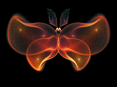 虚拟蝴蝶图片