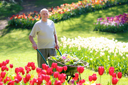 快乐老人做花卉园园艺工程