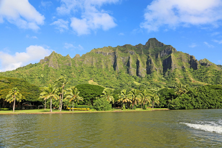 从鱼塘 kualoa 悬崖上查看