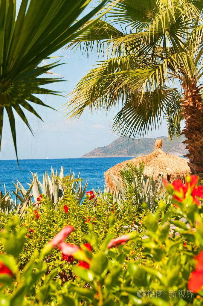 土耳其的天堂: 大海,棕榈树,充满异国情调的鲜花