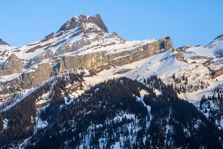 阿尔卑斯山