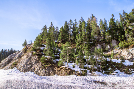 高山森林