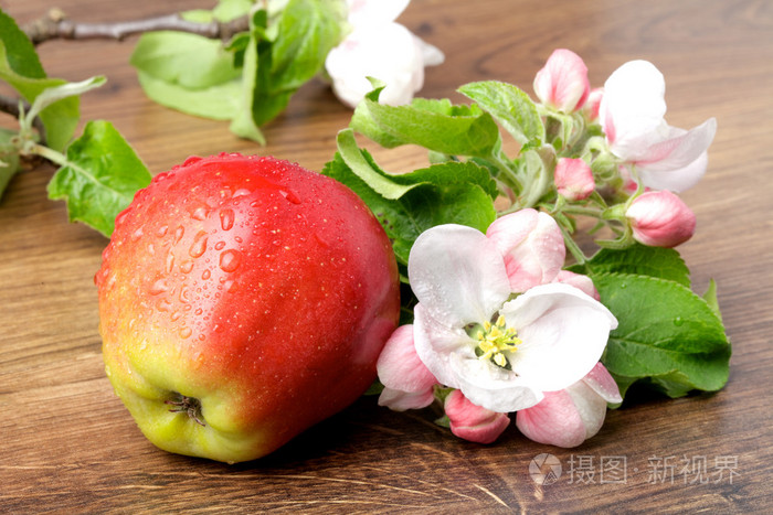 苹果花和成熟的红苹果,木制的背景上