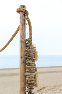 挂在沙滩上的绳子上的浮木