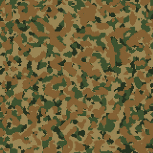 marpat 数字无缝迷彩矢量照片