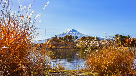 湖河口湖的富士山图片