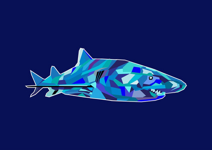 鲨鱼的想象力照片