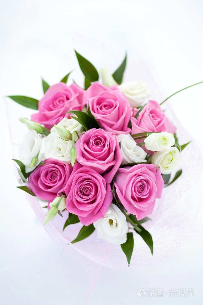 粉色玫瑰花束隔离