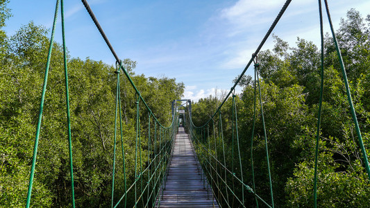 悬索桥