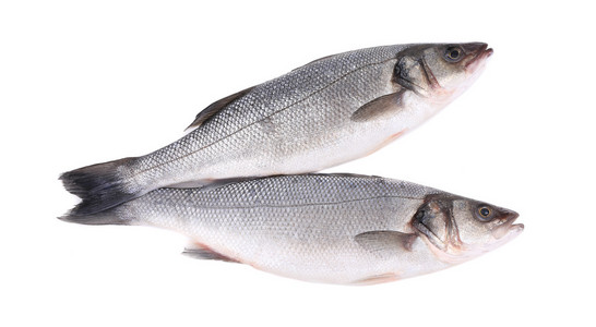 关闭了两个鲜鲈鱼鱼白底鲜鲈鱼用修剪路径在白色背景上隔离的鱼.鲈鱼.