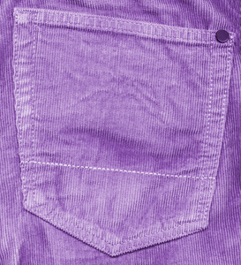 紫罗兰色的口袋里